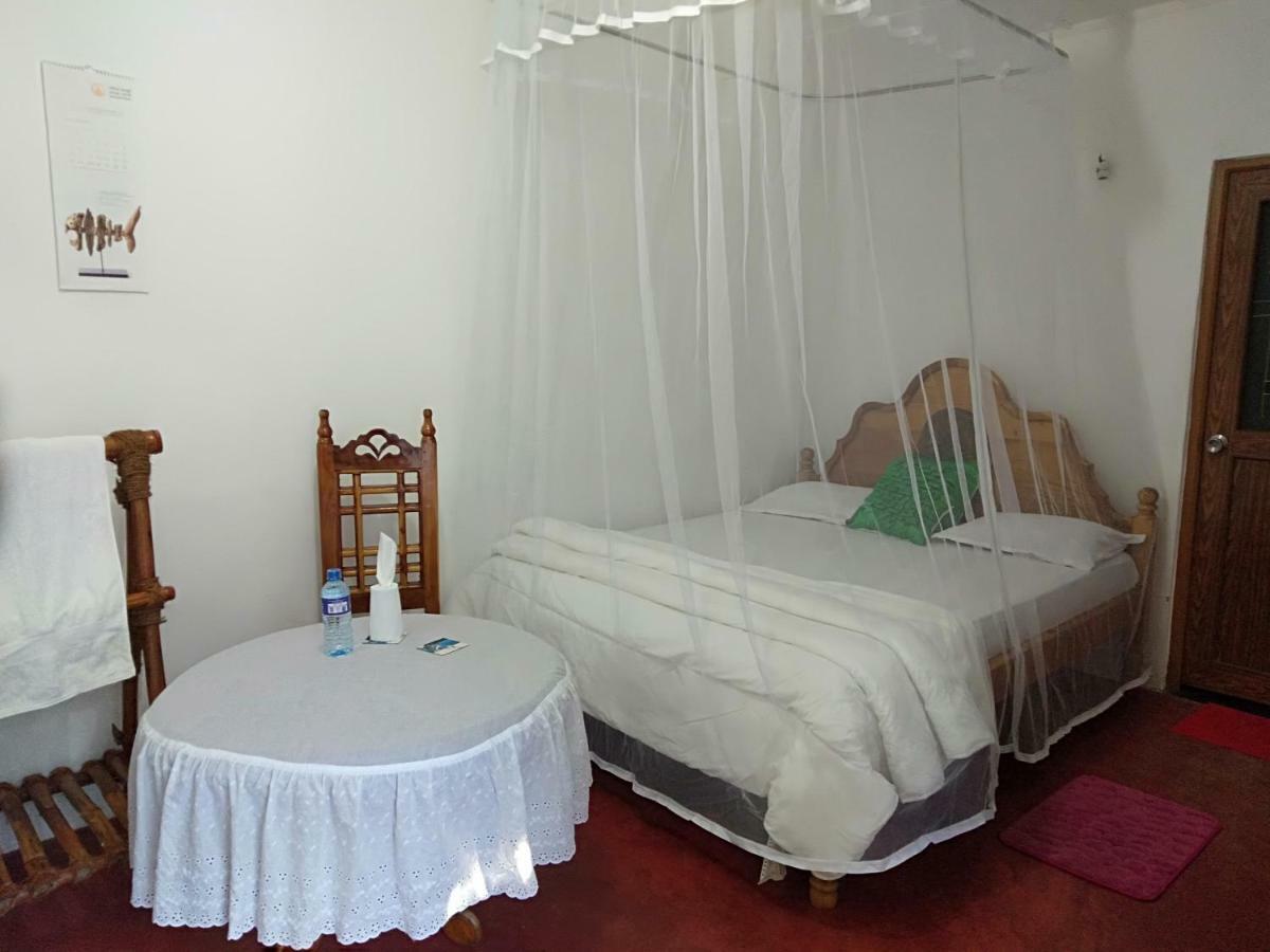 Homeaway Homestay ハットン エクステリア 写真